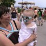 092_Dovolenka 08_2010